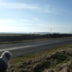 George In Northumberland 200802 019 150x150 George
