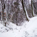 AustriaSnow200901 004 150x150 Too Much Snow, Too Much White, my eyes, my eyes.