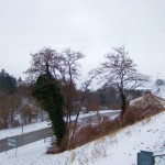 AustriaSnow200901 010 150x150 Too Much Snow, Too Much White, my eyes, my eyes.