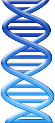 DNA logo1 Garbage Summer Science