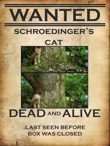 Schroedingers cat wanted Not sure what it looks like. It might meow. I dunno...