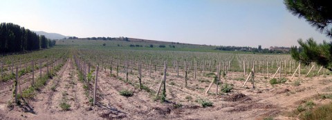 Valley_of_death_1_[1]